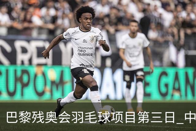巴黎残奥会羽毛球项目第三日 中国队取得13胜3负